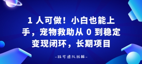 1人可做！小白也能上手，宠物救助从 0 到稳定变现闭环，长期项目-云网创