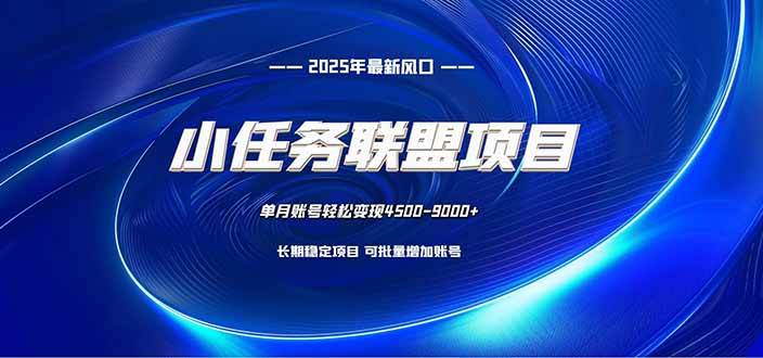(16521期)小任务联盟项目:一台电脑每天只需10分钟,轻松简单稳定-云网创