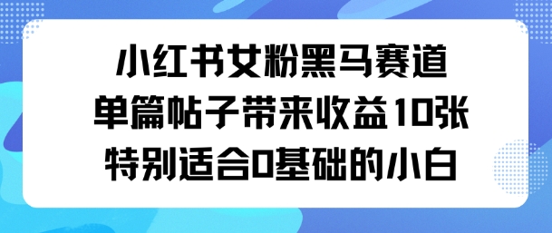 小红书女粉黑马赛道单篇帖子带来收益10张特别适合0基础的小白-云网创
