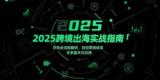 (15503期)2025跨境出海实战指南,并购全流程解析,自创营销体系,专家基本功训练-云网创