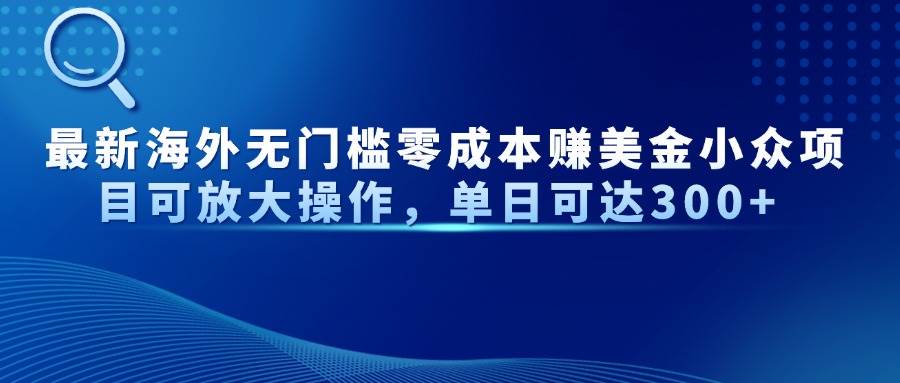 (14542期)最新海外无门槛零成本赚美金小众项目可放大操作,单日可达300+-云网创
