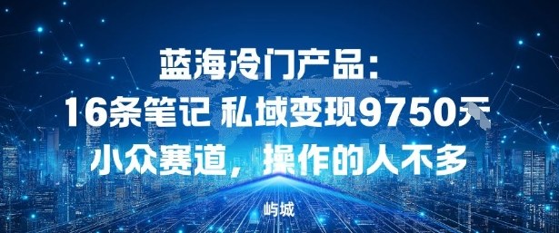 蓝海冷门产品:16条笔记私域变现9750米,小众赛道,操作的人不多-云网创