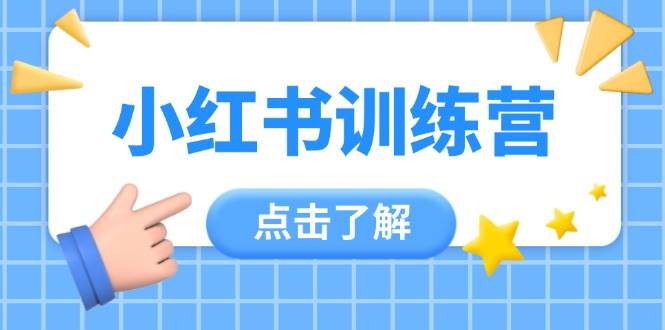 (14545期)小红书训练营,助小白入门,掌握技巧变达人,课程实操又全面(12节课)-云网创