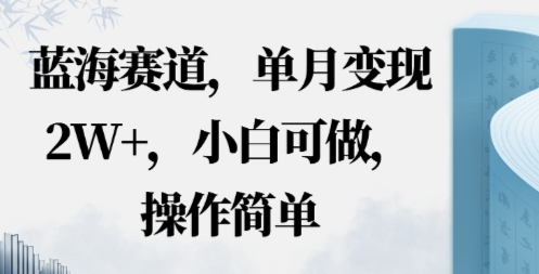蓝海赛道,小红书私域项目,单月变现2W+,小白可做,操作简单-云网创