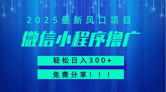 (14375期)微信小程序撸广,最新风口项目,日入300+ 免费分享 可批量操作 小白可…-云网创