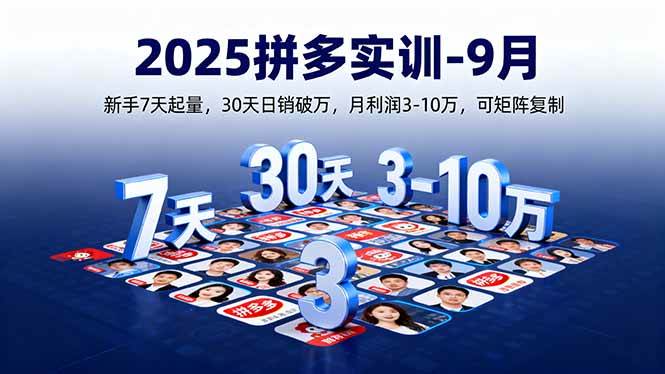 (16008期)2025拼多多实训-9月:新手7天起量,30天日销破万,月利润3-10万,可矩阵复制-云网创