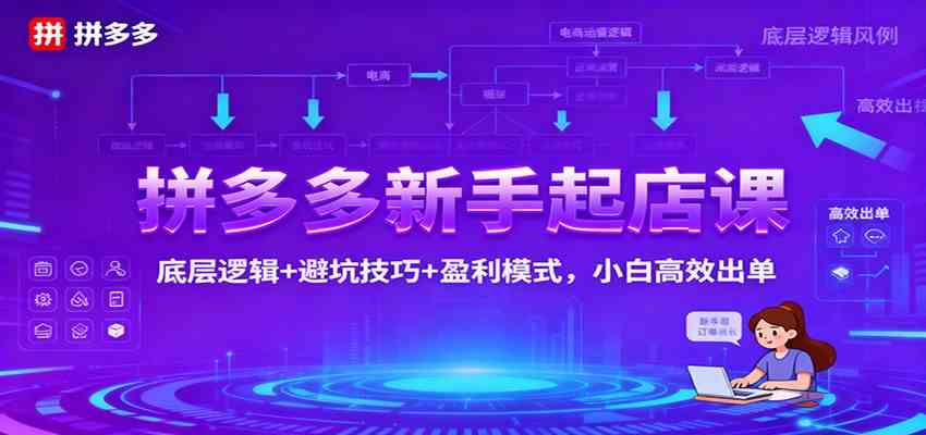拼多多新手起店课：底层逻辑+避坑技巧+盈利模式，小白高效出单-云网创