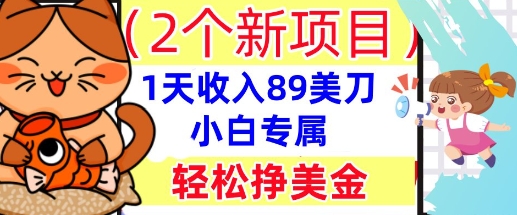2个新项目,轻松挣美金, 1天收入89美刀,小白专属,干货分享-云网创