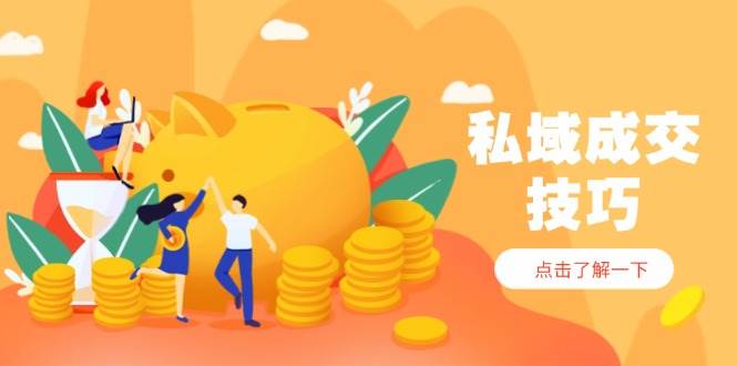 (14601期)私域成交技巧,帮你从入门到精通,破解四大痛点,快速变现,轻松收钱-云网创