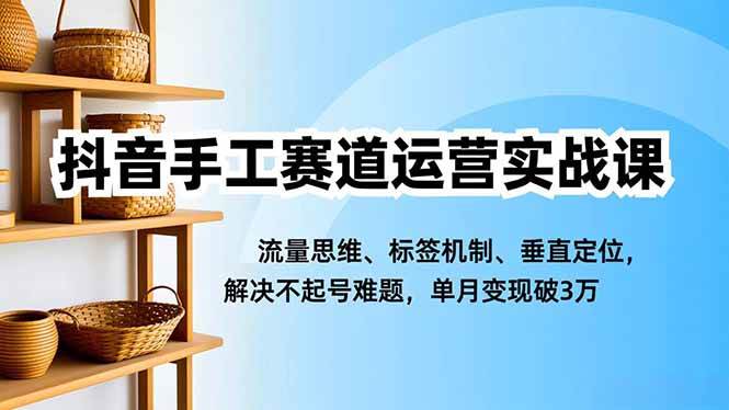 (16667期)抖音手工赛道运营实战课,流量思维、标签机制、垂直定位,解决不起号难题,单月变现破3万-云网创