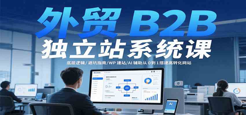 外贸B2B独立站系统课:底层逻辑/避坑指南/WP建站/AI辅助从0到1搭建高转化网站-云网创
