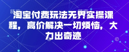 淘宝付费玩法无界实操课程,高价解决一切烦恼,大力出奇迹-云网创