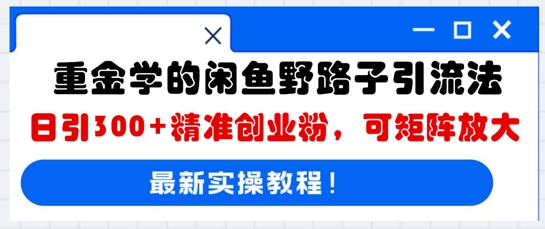 重金学的闲鱼野路子引流法,日引300+精准创业粉,可矩阵放大-云网创