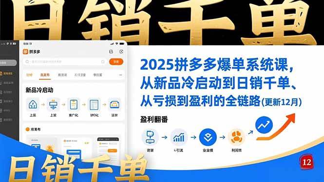 （16894期）2025拼多多爆单系统课，从新品冷启动到日销千单、从亏损到盈利的全链路（更新12月）-云网创