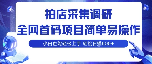拍店采集调研,全网首码项目,简单易操作, 小白也能轻松上手,多账号操作,轻松日入5张【揭秘】-云网创