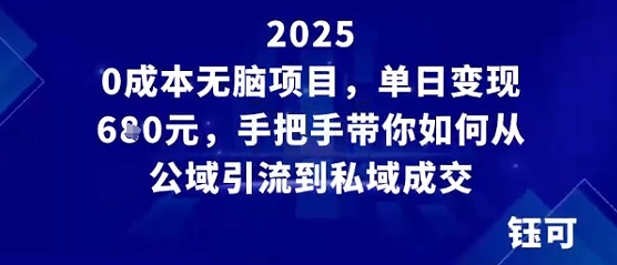 0成本无脑项目,单日变现多张,手把手带你如何从公域引流到私域成交-云网创