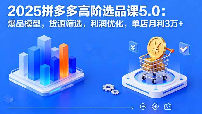 (16019期)2025拼多多高阶选品课5.0:爆品模型,货源筛选,利润优化,单店月利3万+-云网创