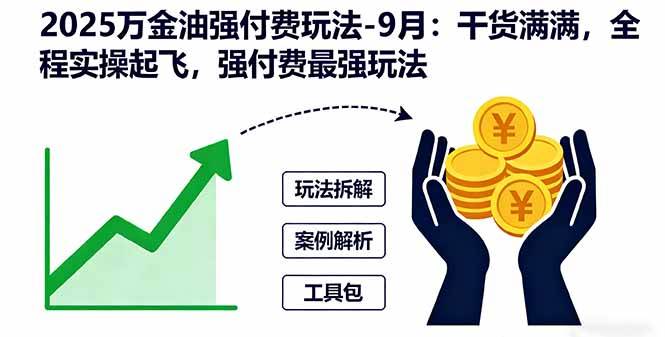 (16202期)2025万金油强付费玩法-9月:干货满满,全程实操起飞,强付费最强玩法-云网创
