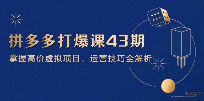 (14546期)拼多多打爆课第 43 期,掌握高价虚拟项目,运营技巧全解析(15节)-云网创