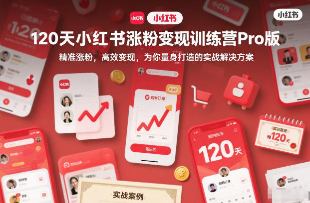 120天小红书涨粉变现训练营Pro版，精准涨粉，高效变现，为你量身打造的实战解决方案-云网创