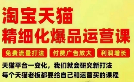 淘宝天猫精细化爆品运营课，免费流量打法-付费广告放大-利润增长-三大核心痛点，一次全部解决-云网创