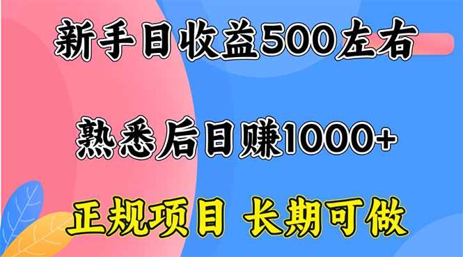(16132期)新手日收益500+ 正规项目 长期可做-云网创