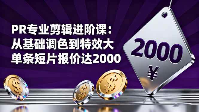 (16381期)PR专业剪辑进阶课:从基础调色到特效大片的进阶技能,单条短片报价达2000-云网创
