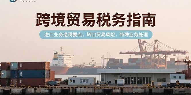 (15381期)跨境贸易税务指南,进口业务退税要点,转口贸易风险,特殊业务处理-云网创