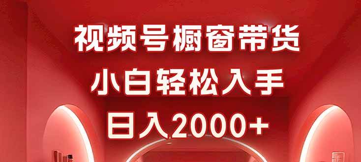 (16248期)视频号橱窗带货,小白轻松入手,日入2000+-云网创