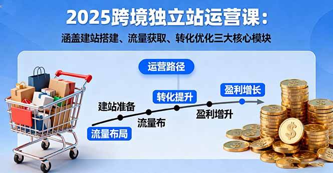 (16211期)2025跨境独立站运营课:涵盖建站搭建、流量获取、转化优化三大核心模块-云网创