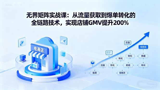 (16104期)无界矩阵实战课:从流量获取到爆单转化的全链路技术,实现店铺GMV提升200%-云网创