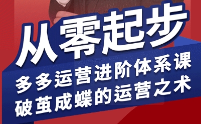 拼多多运营进阶系统课,从零起步,多多运营进阶体系课,破茧成蝶的运营之术(更新9月)-云网创
