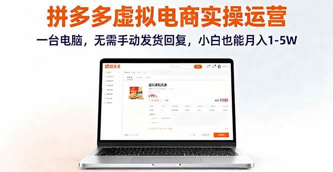 (16138期)拼多多虚拟电商实操运营,一台电脑,无需手动发货回复,小白也能月入1-5W-云网创