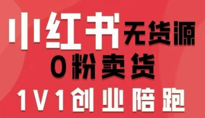 小红书无货源0粉电商课，开店准备、选品策略、笔记撰写、视频剪辑、数据分析、账号打造、资料文档-云网创
