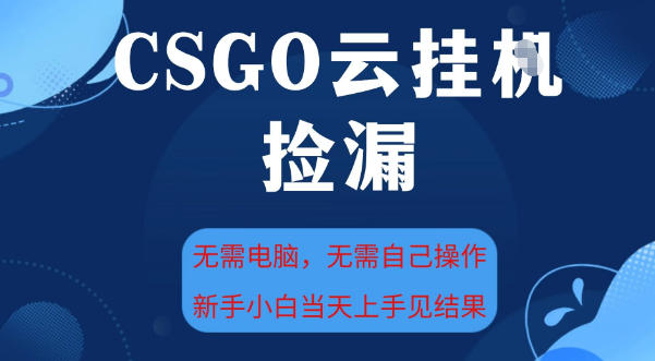 CSGO云挂G全自动捡漏，最新独家玩法，无需电脑操作，新手小白日入5张+【揭秘】-云网创