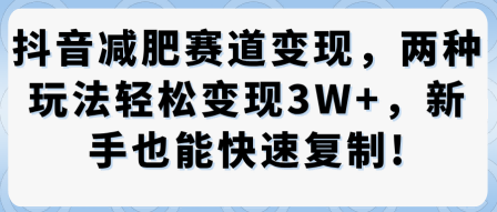 抖音减肥赛道变现,两种玩法轻松变现3W+,新手也能快速复制-云网创