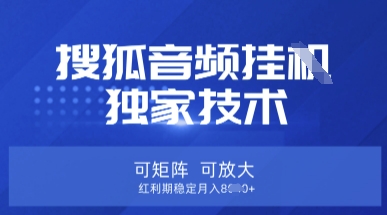 【搜狐音频挂G】独家技术,可矩阵可放大,红利期稳定月入8k【揭秘】-云网创