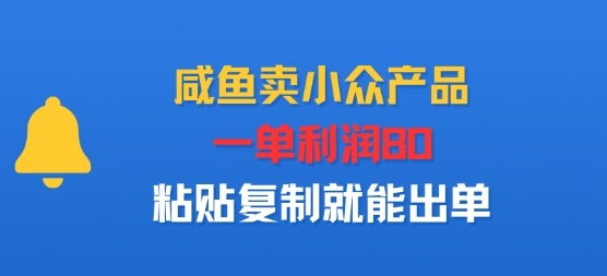 咸鱼卖小众产品，一单利润80，粘贴复制就能出单-云网创