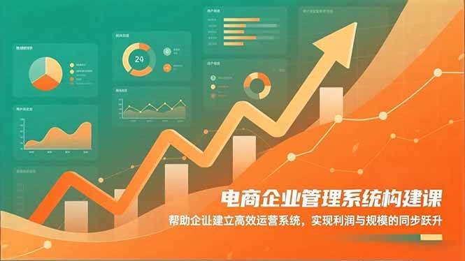 （16643期）电商企业管理系统构建课：帮助企业建立高效运营系统，实现利润与规模的同步跃升-云网创