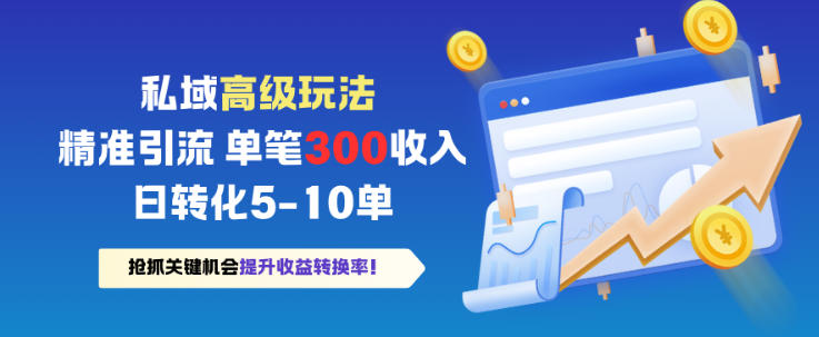 私域高级玩法,精准引流,单笔3张收益,日转化5-10单-云网创