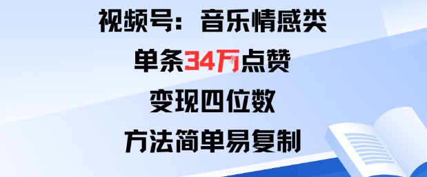 视频号分成计划新玩法：音乐情感类单条34W点赞，变现四位数，方法简单易复制-云网创