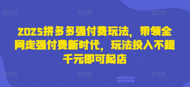 2025拼多多强付费玩法,带领全网走强付费新时代,玩法投入不超千元即可起店-云网创
