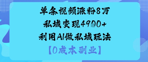 单条视频涨粉8W私域变现1k+利用AI做私域玩法-云网创