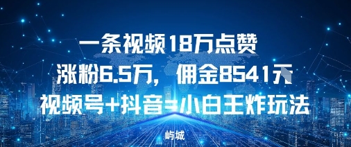 一条视频18W点赞涨粉6.5W,佣金8541视频号+抖音=小白王炸玩法-云网创