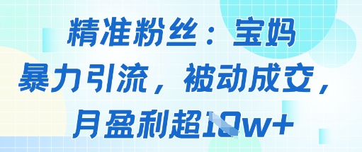 精准粉丝:宝妈暴力引流方法,被动成交,月盈利超1w+-云网创