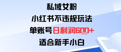 私域女粉：小红书平台不违规玩法单账号日利润6张+适合新手小白-云网创