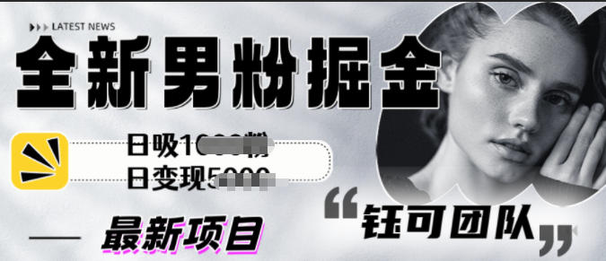 全新男粉掘金思路日吸粉100+日变现1k+-云网创