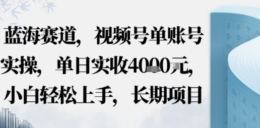 蓝海赛道，视频号单账号实操，单日实收1k，小白轻松上手，长期项目-云网创