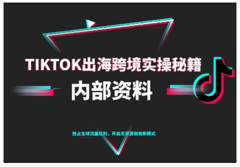 TikTok跨境电商0-1搭建运营,TK出海跨境实操秘籍(10月更新)-云网创