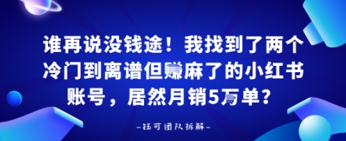 谁再说没钱途！我找到了两个冷门到离谱但賺麻了的小红书账号，居然月销5W单？-云网创